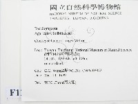 登錄號:F0012630藏品圖，第2張