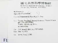 登錄號:F0012631藏品圖，第2張