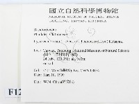 登錄號:F0012632藏品圖，第2張