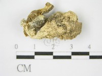 登錄號:F0012632藏品圖，第3張