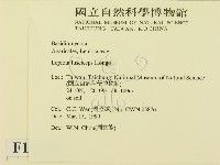 登錄號:F0012634藏品圖，第2張