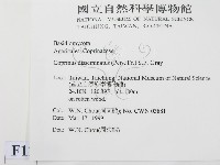 登錄號:F0012639藏品圖，第2張