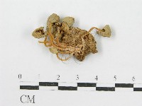 登錄號:F0012639藏品圖，第1張