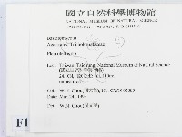登錄號:F0012641藏品圖，第2張