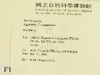 登錄號:F0012642藏品圖，第2張