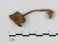 登錄號:F0012642藏品圖，第1張
