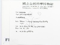登錄號:F0012643藏品圖，第2張