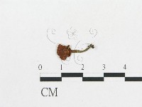 登錄號:F0012643藏品圖，第3張