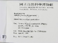 登錄號:F0012644藏品圖，第2張