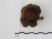 登錄號:F0012644藏品圖，第1張