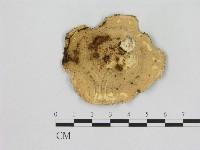 登錄號:F0012644藏品圖，第3張