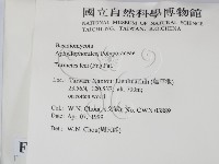 登錄號:F0012646藏品圖，第2張