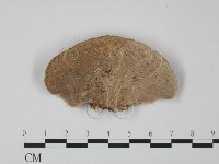 登錄號:F0012646藏品圖，第1張
