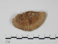 登錄號:F0012646藏品圖，第3張
