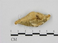 登錄號:F0012647藏品圖，第1張