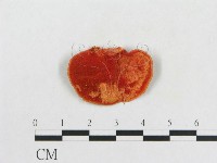 登錄號:F0012649藏品圖，第1張