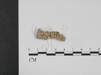 登錄號:F0012650藏品圖，第1張