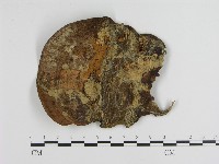 登錄號:F0012651藏品圖，第3張