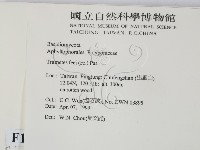 登錄號:F0012653藏品圖，第2張