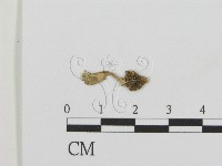 登錄號:F0012658藏品圖，第1張