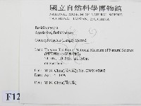 登錄號:F0012659藏品圖，第2張