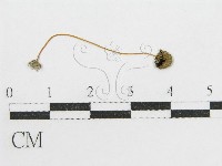 登錄號:F0012660藏品圖，第3張