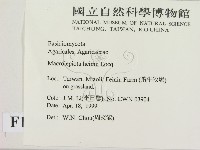 登錄號:F0012661藏品圖，第2張