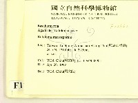 登錄號:F0012662藏品圖，第2張