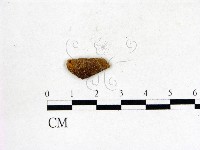 登錄號:F0012662藏品圖，第3張