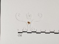 登錄號:F0012663藏品圖，第3張