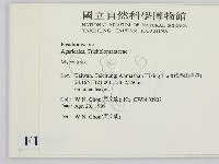 小菇屬藏品圖，第2張