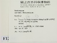 小菇屬藏品圖，第2張