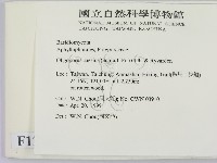 登錄號:F0012667藏品圖，第2張