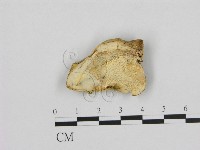 登錄號:F0012667藏品圖，第1張
