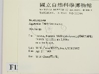 小菇屬藏品圖，第2張