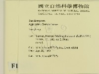 登錄號:F0012671藏品圖，第2張