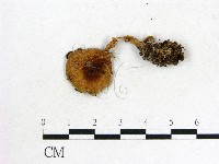 登錄號:F0012672藏品圖，第1張