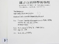 登錄號:F0012673藏品圖，第2張