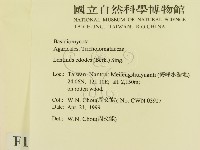 登錄號:F0012674藏品圖，第2張