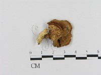 登錄號:F0012674藏品圖，第1張