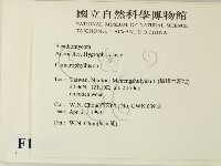 登錄號:F0012675藏品圖，第2張