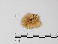 登錄號:F0012675藏品圖，第1張