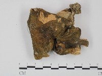 登錄號:F0012676藏品圖，第1張