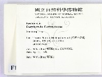 登錄號:F0012678藏品圖，第2張