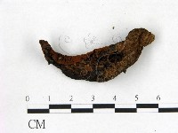 登錄號:F0012679藏品圖，第3張