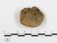 登錄號:F0012680藏品圖，第1張
