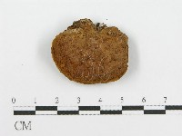 登錄號:F0012680藏品圖，第3張