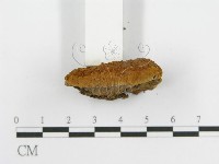 登錄號:F0012680藏品圖，第4張