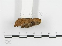 登錄號:F0012680藏品圖，第5張