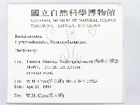 木層孔菌屬藏品圖，第2張